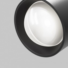 Светильник на штанге Maytoni Lens TR217-4-15WTW-DD-B в Приобье - priobie.mebel24.online | фото 12