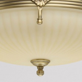 Светильник на штанге MW-Light Афродита 1 317011504 в Приобье - priobie.mebel24.online | фото 4