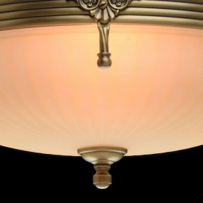 Светильник на штанге MW-Light Афродита 1 317011504 в Приобье - priobie.mebel24.online | фото 5
