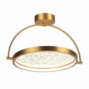 Светильник на штанге Odeon Light Solaris 6627/36CL в Приобье - priobie.mebel24.online | фото 3