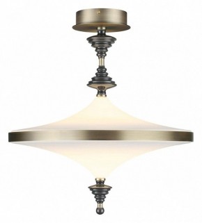 Светильник на штанге Odeon Light Ula 5404/43CL в Приобье - priobie.mebel24.online | фото 2