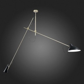 Светильник на штанге ST-Luce Jarro SL1803.203.02 в Приобье - priobie.mebel24.online | фото 4