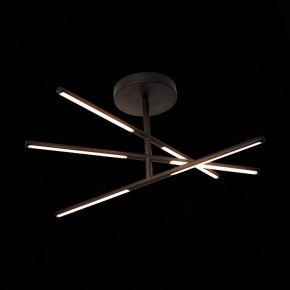 Светильник на штанге ST-Luce Ralio SL1580.403.03 в Приобье - priobie.mebel24.online | фото 3