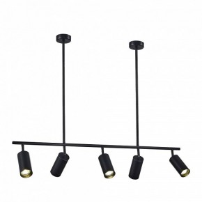 Светильник на штанге ST-Luce Sormano SL1206.403.05 в Приобье - priobie.mebel24.online | фото 2