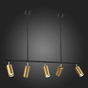 Светильник на штанге ST-Luce Sormano SL1206.413.05 в Приобье - priobie.mebel24.online | фото 5