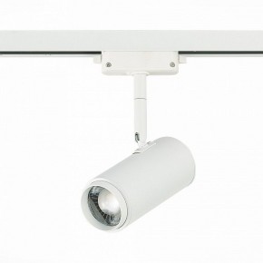 Светильник на штанге ST-Luce Zoom ST600.546.12 в Приобье - priobie.mebel24.online | фото 3