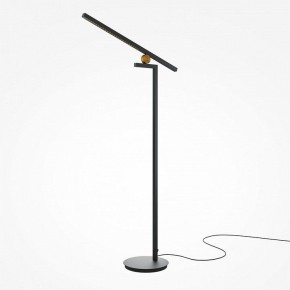 Торшер Maytoni Emphaty MOD363FL-L14B3K в Приобье - priobie.mebel24.online | фото 2