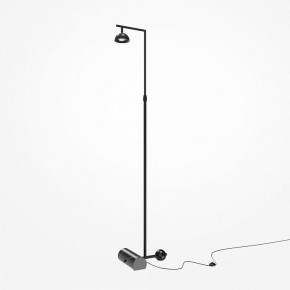 Торшер Maytoni Pikant MOD372FL-L10B3K в Приобье - priobie.mebel24.online | фото 2
