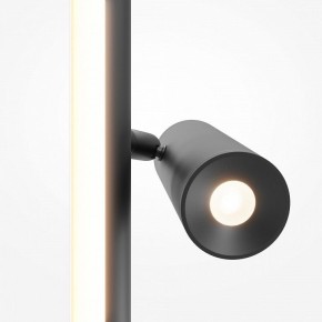 Торшер Maytoni Thin MOD395FL-L28B3K в Приобье - priobie.mebel24.online | фото 6