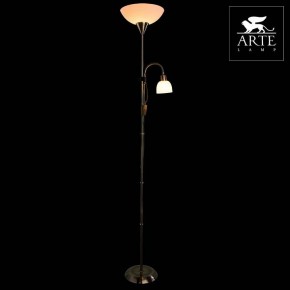 Торшер с подсветкой Arte Lamp Duetto A9569PN-2AB в Приобье - priobie.mebel24.online | фото 3