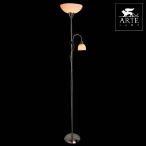 Торшер с подсветкой Arte Lamp Duetto A9569PN-2SS в Приобье - priobie.mebel24.online | фото 3