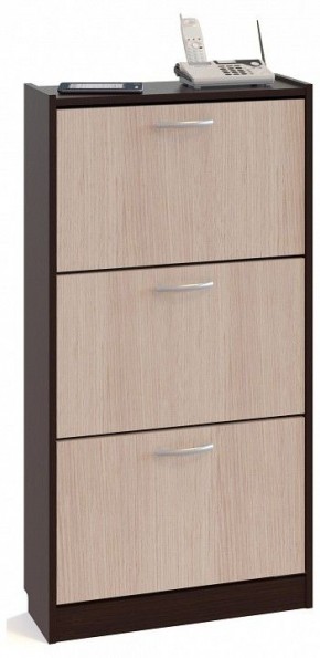 Тумба для обуви ТО-23 в Приобье - priobie.mebel24.online | фото