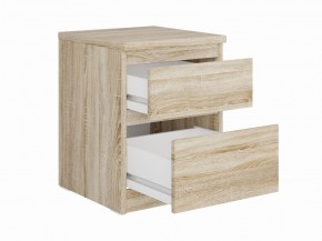 Тумба КАСТОР малая с двумя ящиками, цвет Дуб Сонома в Приобье - priobie.mebel24.online | фото 2