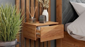 Тумба навесная Тип 1 в Приобье - priobie.mebel24.online | фото 6