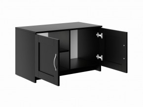Тумба СИРИУС двухдверная низкая, цвет Дуб Венге в Приобье - priobie.mebel24.online | фото 3