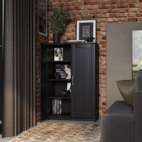 Тумба СИРИУС двухдверная высокая, цвет Дуб Венге в Приобье - priobie.mebel24.online | фото 4
