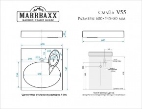 Умывальник над стиральной машиной (600*545*80) Смайл V55D1 (белый) с кронштейном без сифона (V55D1) в Приобье - priobie.mebel24.online | фото 2