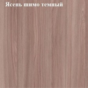 Вешалка для одежды (Ясень шимо темный) в Приобье - priobie.mebel24.online | фото 2