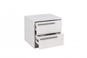 ВИНТЕР - 13 Тумба прикроватная в Приобье - priobie.mebel24.online | фото 3